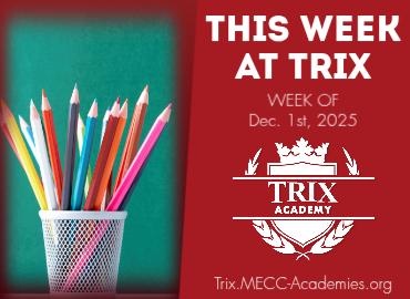  Trix Academy